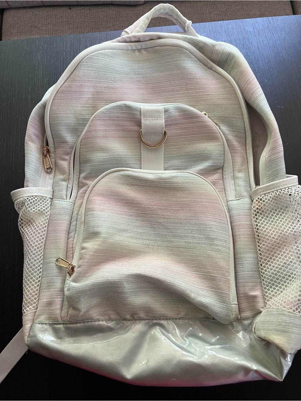 Pottery Barn Teen Pastel Ombré Backpack